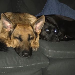 Meet your Posher, Tara